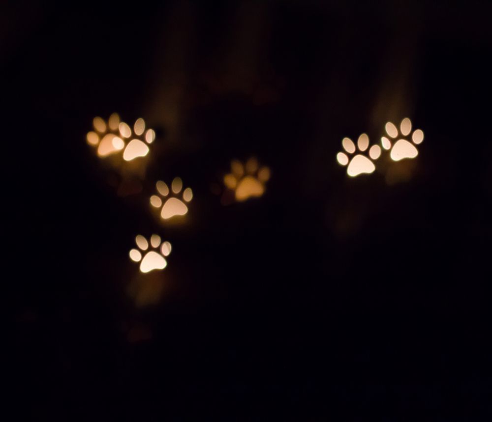 The Heart of Darkness